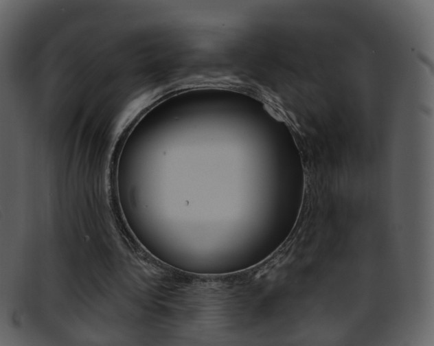 X0000096660340200802051001