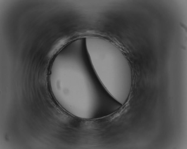 X0000096660341200802051001