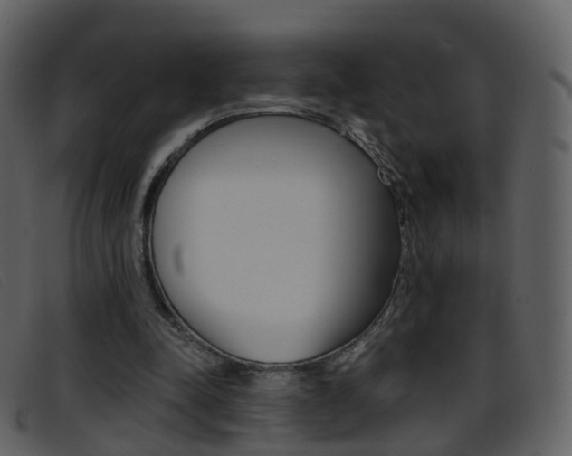 X0000096660342200802051001