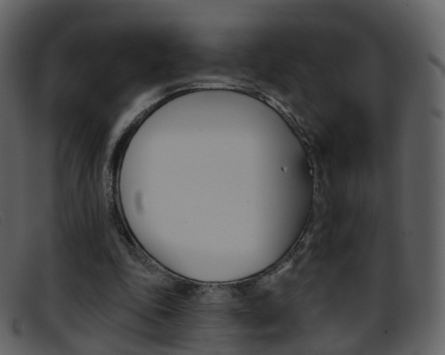 X0000096660343200802051001