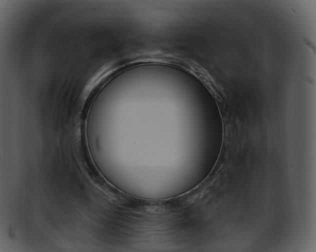 X0000096660344200802051001