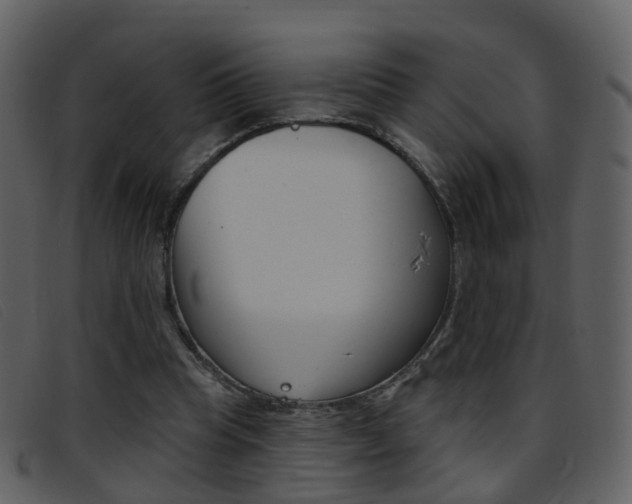X0000096660345200802051001