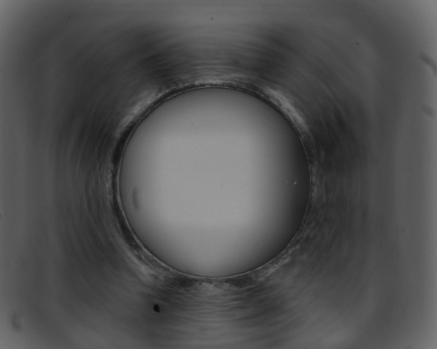 X0000096660346200802051001