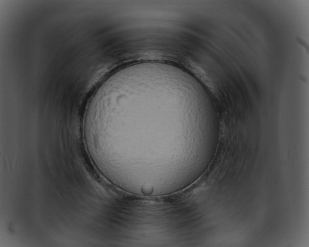 X0000096660347200802051001