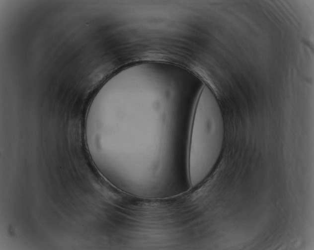 X0000096660349200802051002