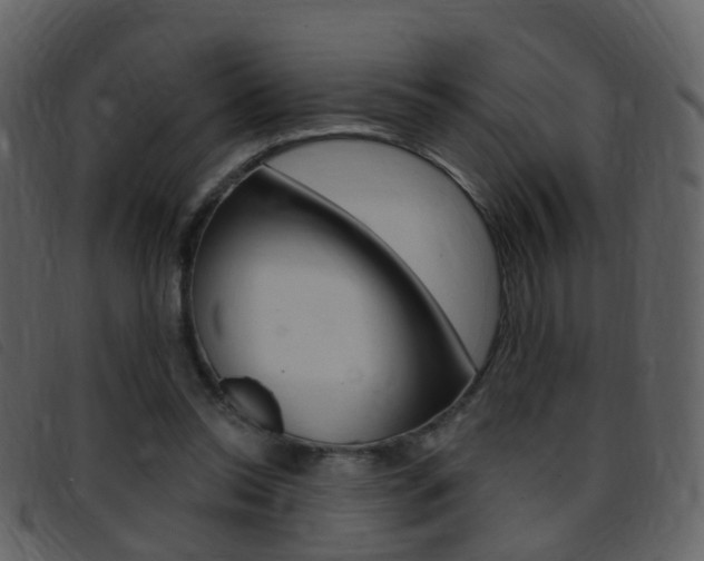 X0000096660350200802051002