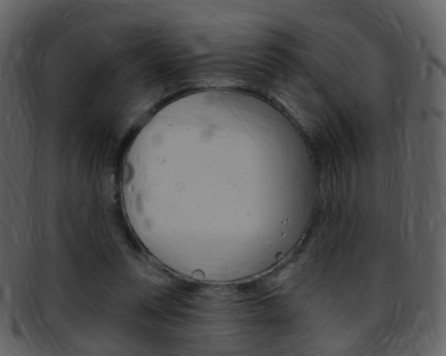 X0000096660351200802051002
