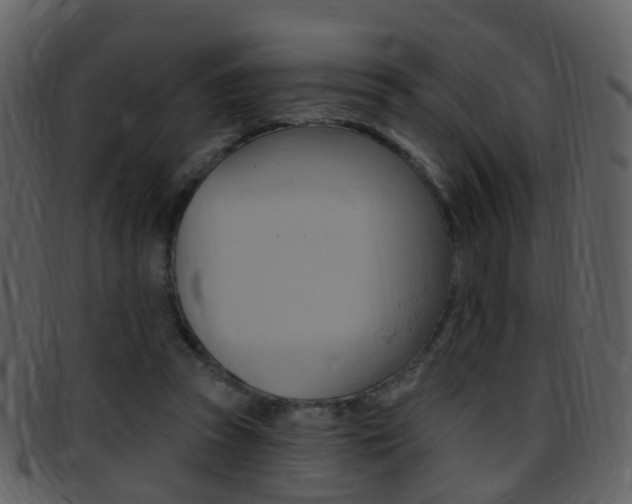X0000096660353200802051002