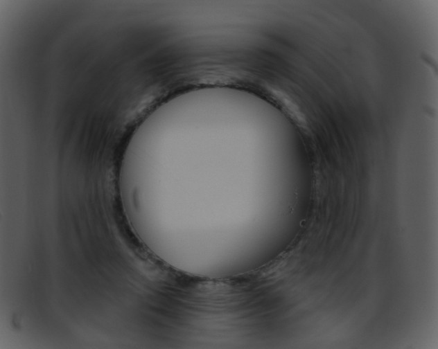 X0000096660354200802051002