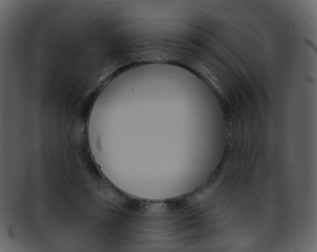 X0000096660355200802051002