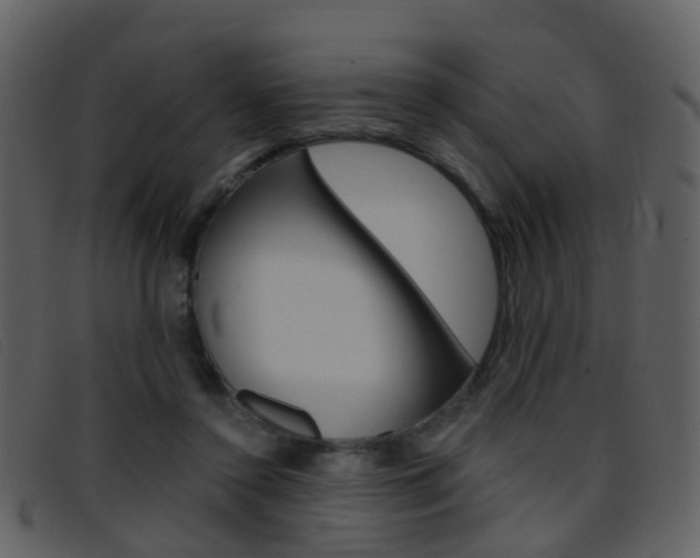 X0000096660356200802051002