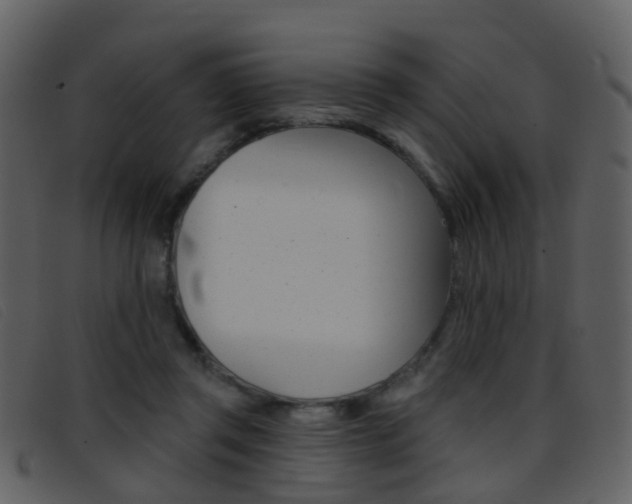 X0000096660357200802051002
