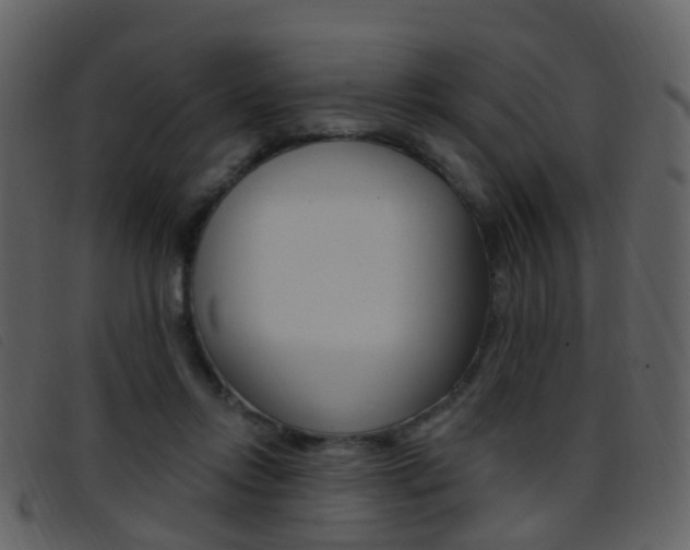 X0000096660358200802051002