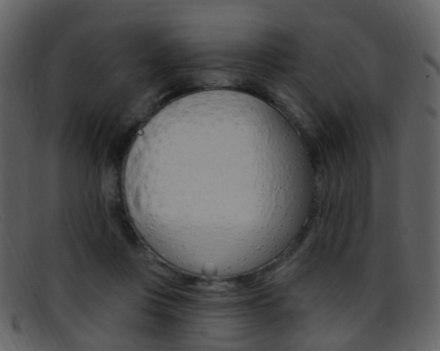 X0000096660359200802051002
