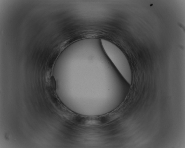 X0000096660360200802051002