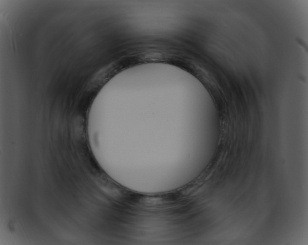 X0000096660361200802051002