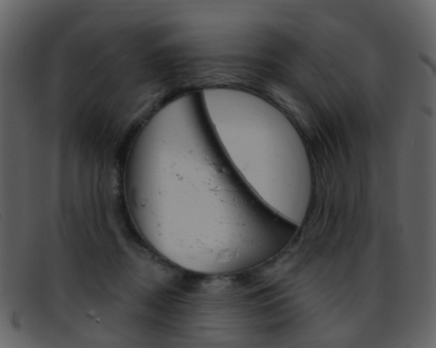 X0000096660362200802051002