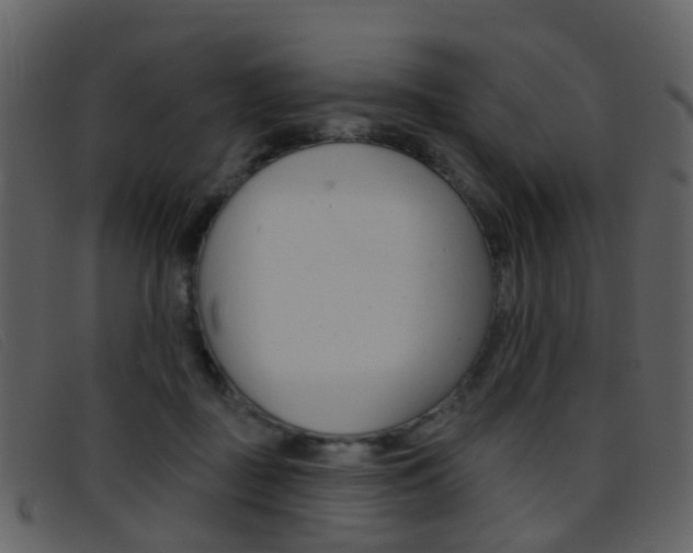 X0000096660363200802051002