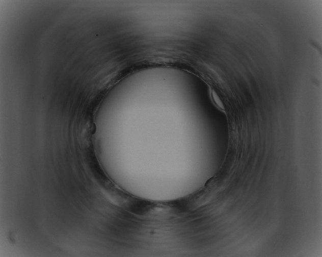 X0000096660364200802051002