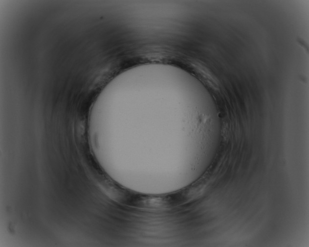 X0000096660365200802051002
