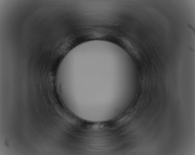 X0000096660366200802051002
