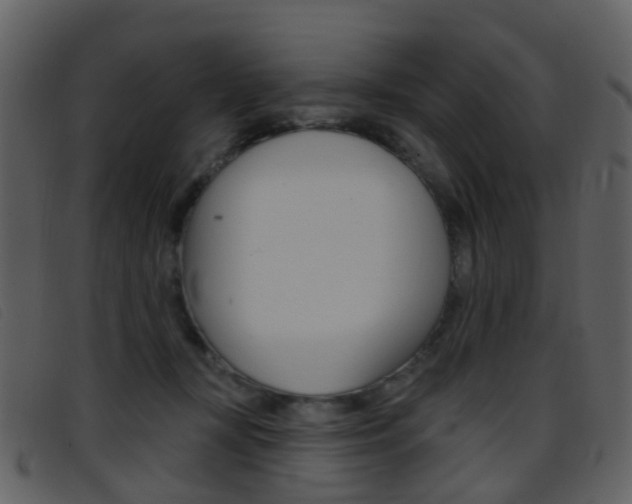 X0000096660367200802051002