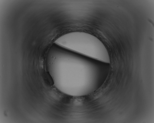 X0000096660368200802051002