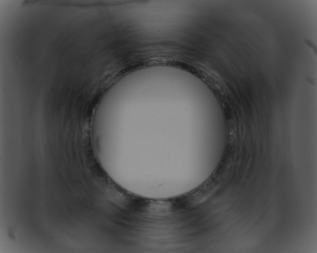 X0000096660369200802051002