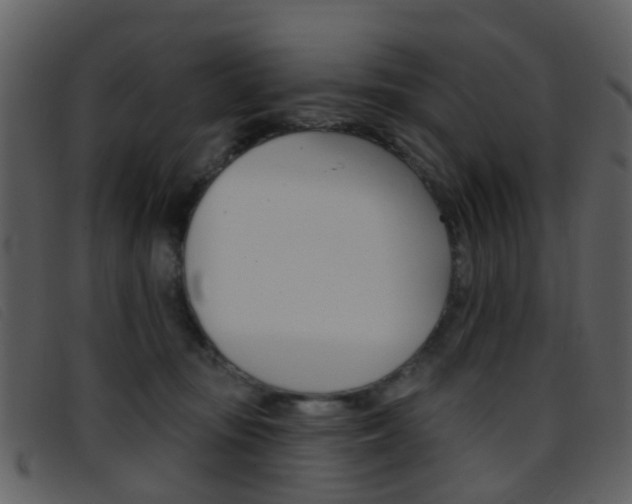 X0000096660371200802051002