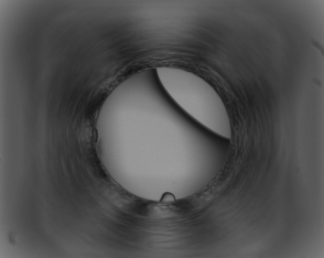X0000096660372200802051002