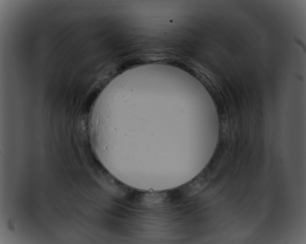 X0000096660373200802051002