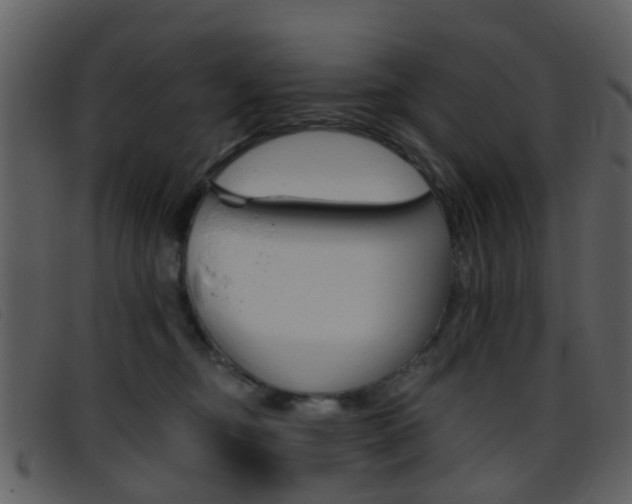 X0000096660374200802051002