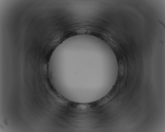 X0000096660375200802051002