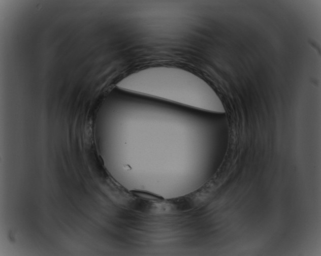 X0000096660376200802051002