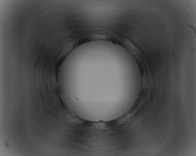 X0000096660377200802051002