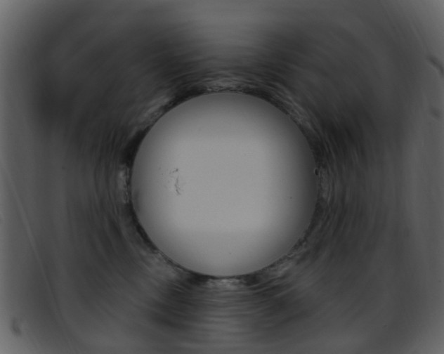 X0000096660378200802051002