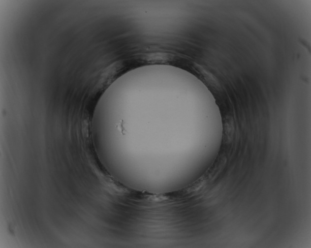 X0000096660379200802051002