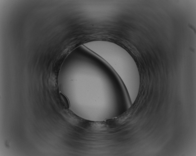 X0000096660380200802051002