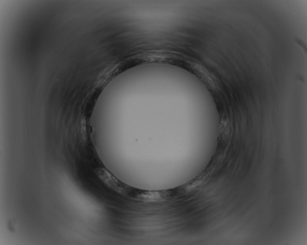 X0000096660381200802051002
