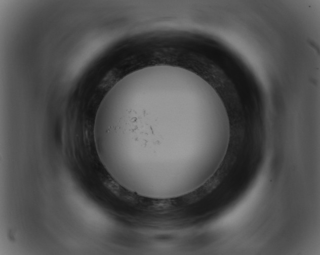 X0000096660382200802051002