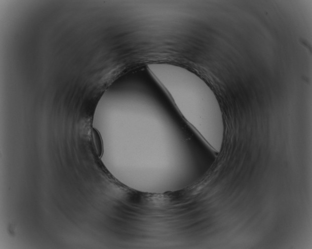 X0000096660383200802051002