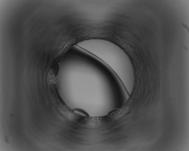 X0000096660384200802051002