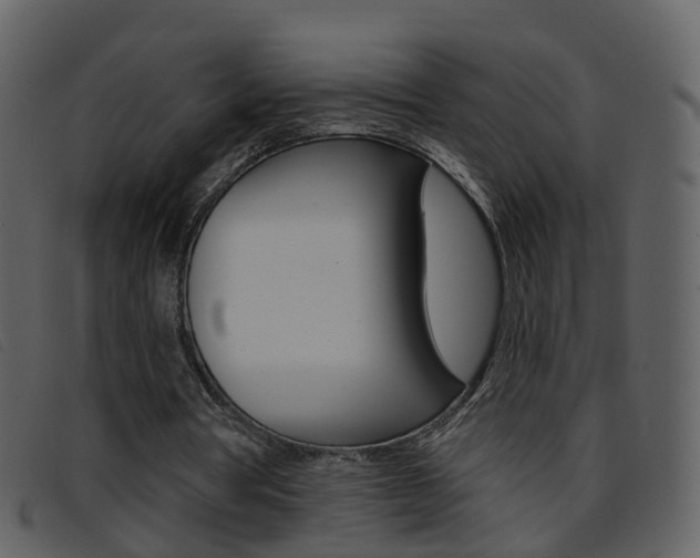 X0000096660386200802051001