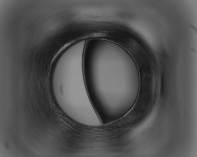 X0000096660387200802051001