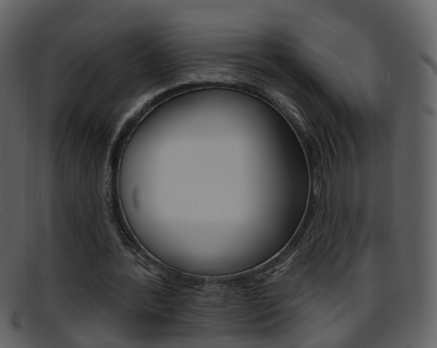 X0000096660388200802051001