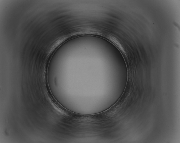 X0000096660389200802051001