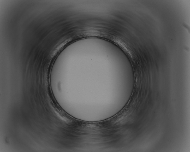 X0000096660390200802051001