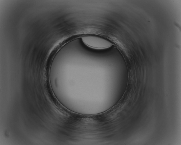 X0000096660392200802051001