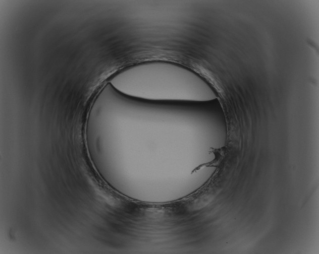 X0000096660394200802051001