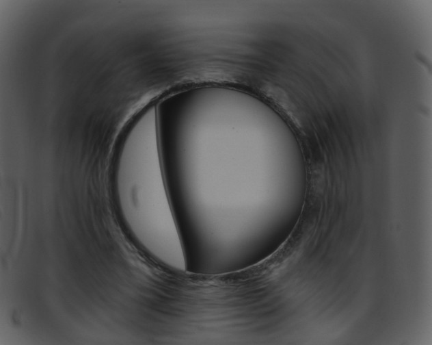 X0000096660395200802051001